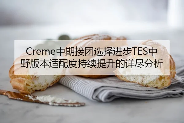 Creme中期接团选择进步TES中野版本适配度持续提升的详尽分析